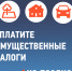 Заплати налоги... - Отдел образования